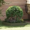 Product Thumbnail Image 2 of 11