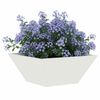 vidaXL Garden Planter 5 pcs White 35 x 35 x 15 cm Cold-rolled Steel