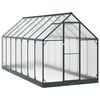 vidaXL Garden Greenhouse with Door Anthracite 183.5 x 423.5 x 207 cm
