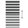 Product Thumbnail Image 5 of 16