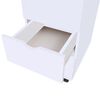 vidaXL Drawer Unit 45x33x60 cm White