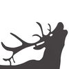 Product Thumbnail Image 3 of 6