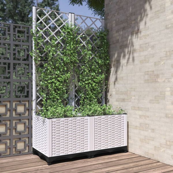 Showing Product Image 1 of 8
