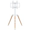 Product Thumbnail Image 6 of 10
