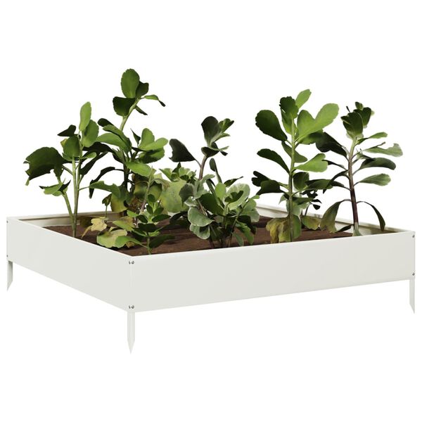 Showing Product Image 3 of 10