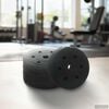 vidaXL Weight Plates 4 pcs Black &Oslash; 21.5 x 3.8 cm