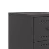 vidaXL Bedside Cabinet Black 36x39x59 cm Steel