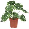 Product Thumbnail Image 3 of 9