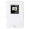 Alecto Wireless Weather Station WS-1700 Silver