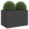 Product Thumbnail Image 4 of 11