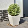 Product Thumbnail Image 2 of 10