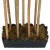 Product Thumbnail Image 4 of 5