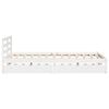 Product Thumbnail Image 5 of 12