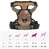 Product Thumbnail Image 11 of 11