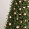 Product Thumbnail Image 4 of 14