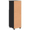 vidaXL Bathroom Cabinet Black 30 x 35 x 95 cm Engineered wood & Metal