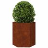vidaXL Garden Planters 2 pcs Hexagon 46x40x45 cm Weathering Steel