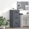 vidaXL File Cabinet Anthracite 45.5 x 42 x 106.5 cm Cold-Rolled Steel