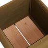 vidaXL Garden Planters 2 pcs Honey Brown 50x50x50 cm Solid Pinewood