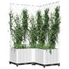 Product Thumbnail Image 7 of 8