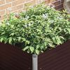 Product Thumbnail Image 4 of 13