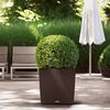 Product Thumbnail Image 2 of 8