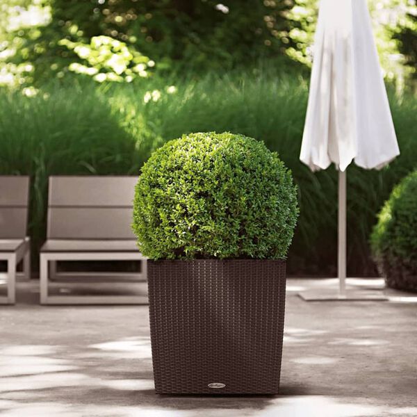Showing Product Image 2 of 8