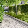 Product Thumbnail Image 2 of 10
