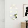vidaXL Mirror with LED Lights 80x40 cm Glass Oval