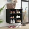 vidaXL Shoe Cabinet Black 52.5x30x50 cm