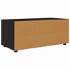 vidaXL TV Cabinet with Drawer Black 100 x 48 x 43 cm Engineered Wood