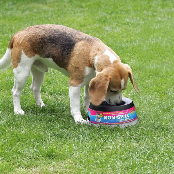 Road Refresher Non-Spill Pet Water Bowl Large Grey LGRR