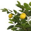 Product Thumbnail Image 4 of 5