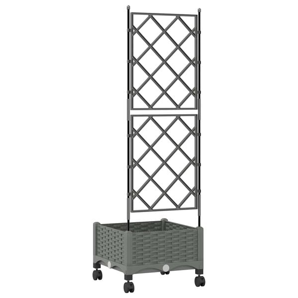 Showing Product Image 4 of 7