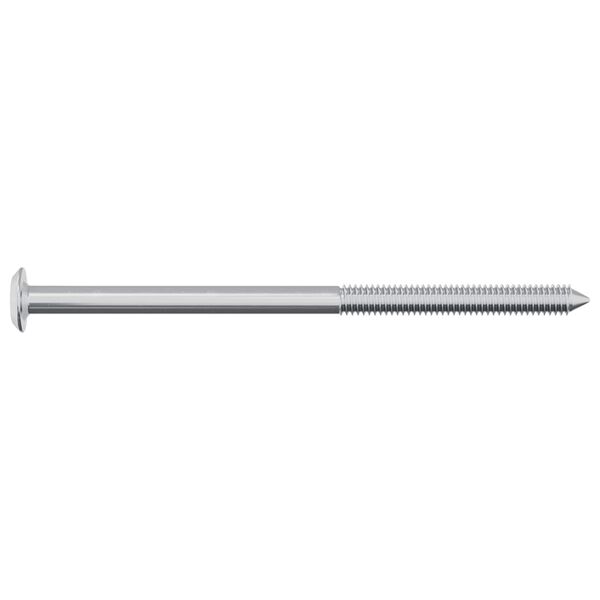 vidaXL Screw 2 pcs Silver M6 x 100 mm Steel