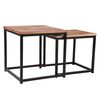 LABEL51 2 Piece Coffee Table Set "Twain" Wood/Black