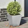 Product Thumbnail Image 2 of 13