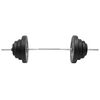 vidaXL Barbell with Plates 60 kg