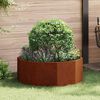 Product Thumbnail Image 2 of 12