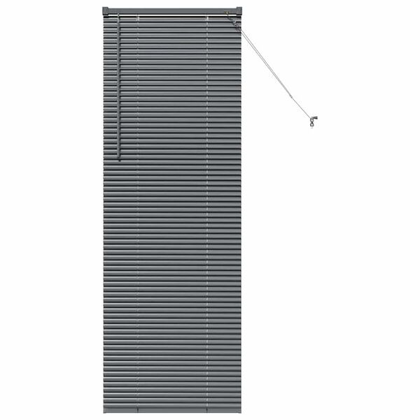 vidaXL Window Blind with Curtains Manual Dark grey Aluminium