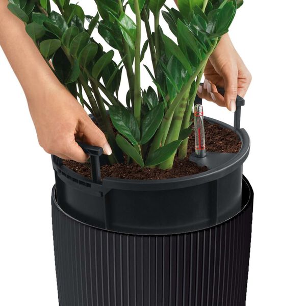 Showing Product Image 4 of 9