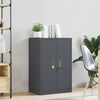 vidaXL Storage Cabinet Anthracite 60 x 40 x 90 cm Steel