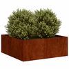 Product Thumbnail Image 3 of 10