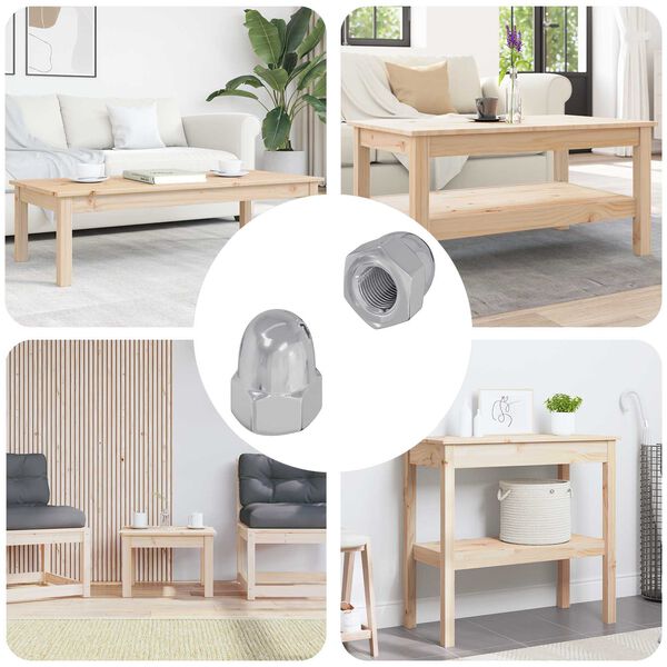 vidaXL Nut 2 pcs Silver M6 x 10 mm Iron