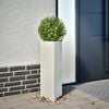 Product Thumbnail Image 2 of 12