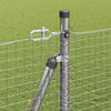 Product Thumbnail Image 5 of 17