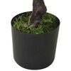 Product Thumbnail Image 6 of 7