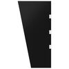 vidaXL 2 Piece Side Panels for Door Canopy Black Tempered Glass
