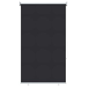 vidaXL Outdoor Roller Blind UV Protection Anthracite 60 x 230 cm