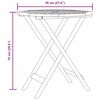 Product Thumbnail Image 13 of 13